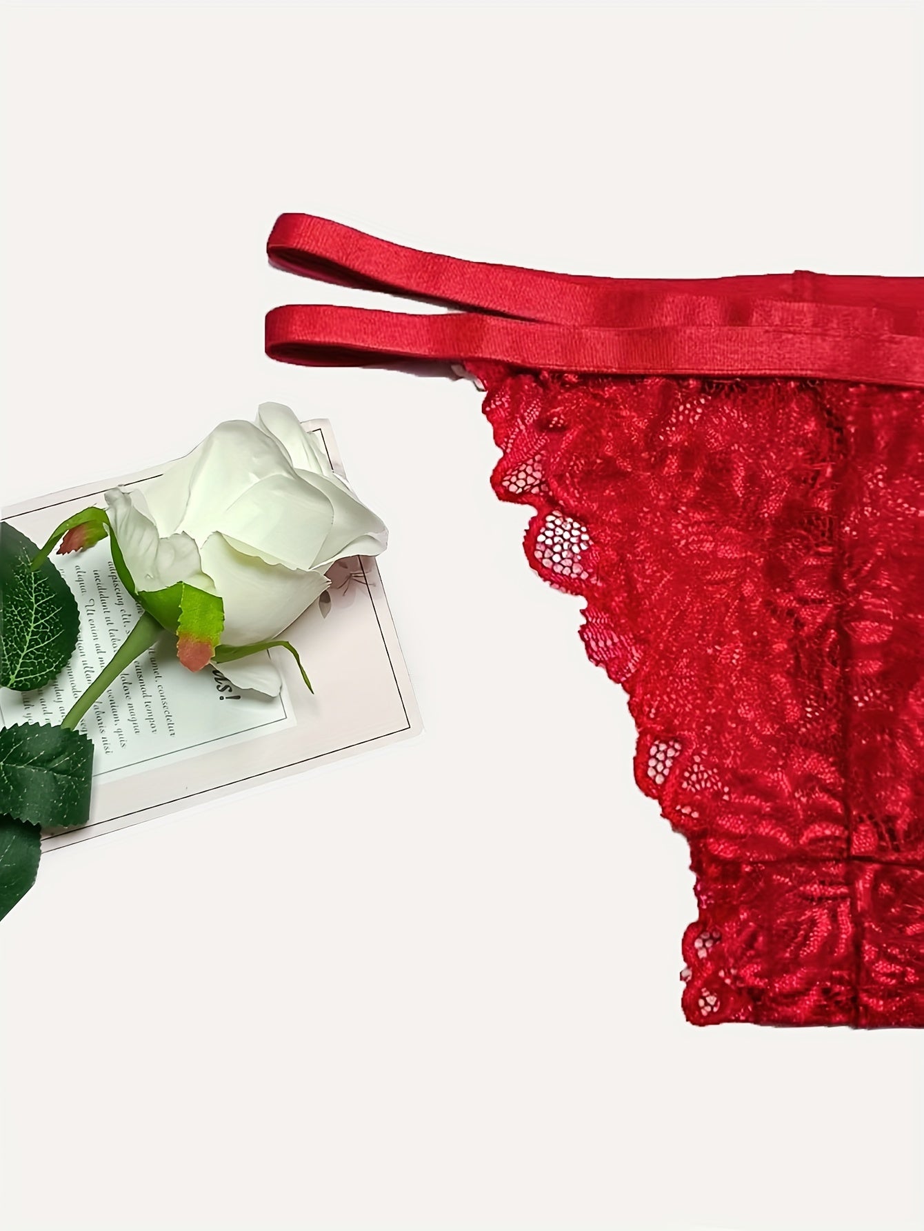 Sexy Floral Lace Lingerie Set - Triangle Cups Plunge Bra, Semi-Sheer Panties, Adjustable Straps, Comfortable Fit - Womens Romantic Underwear for Date Night or Special Occasions - Lena & Miles Exquisite Boutique LLC.