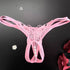 Sexy Butterfly Embroidery Thongs - Sheer Mesh Panties With Open Crotch For Women&