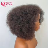 180% Density Afro Kinky Curly Lace Wig - Lace Wigs With 4B Hairline, Transparent HD Lace, Preplucked Mongolian Hair, 13x4 Lace Frontal, Kinky Edges, Real Natural Hairline, Fluffy Hair For Women - Lena & Miles Exquisite Boutique LLC.