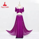 Belly Dance Professional Suit for Women Mesh Short Sleeves Top+sexy Split Long Skirt 2pcs Girl&
