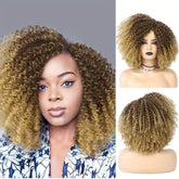 Afro Kinky Curly Wigs Short Afro Kinky Curly Wigs For Women Synthetic Heat Resistant Hair Replacement Wig For Cosplay Party Daily Use - Lena & Miles Exquisite Boutique LLC.