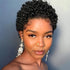 Short Kinky Curly Wigs Human Hair Pixie Cut Brazilian Human Hair For Women Natural Black Glueless Curly Human Hair Wigs - Lena & Miles Exquisite Boutique LLC.