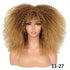 Soft Fluffy Afro Kinky Curly 16 Inch Hair Wigs With Bangs - Synthetic Fiber None Lace Wigs For Party Cosplay Daily Use - Lena & Miles Exquisite Boutique LLC.