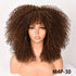 Soft Fluffy Afro Kinky Curly 16 Inch Hair Wigs With Bangs - Synthetic Fiber None Lace Wigs For Party Cosplay Daily Use - Lena & Miles Exquisite Boutique LLC.